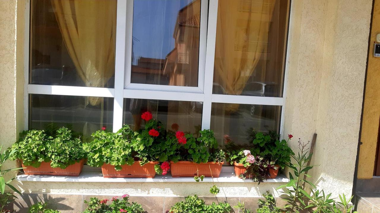 Къща За Гости Вълчеви Несебър Exterior foto